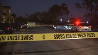 VIDEO: 3-year-old in car seat shot in Orange County, deputies say