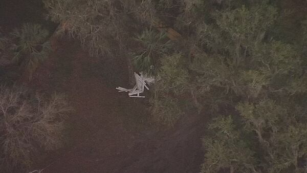 Photos: Pilot hospitalized after home-built airplane crashes in tree in Volusia County