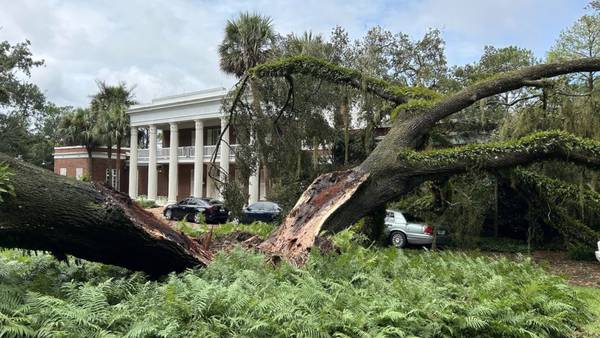 Hurricane Idalia: Oak tree falls on Florida Governor’s Mansion in Tallahassee