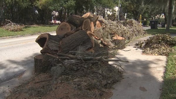 VIDEO: Hurricane Ian cleanup efforts continue as piles of debris await collection