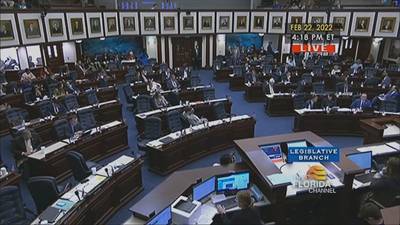 VIDEO: How to talk to kids about Florida's 'Parental Rights in Education' bill