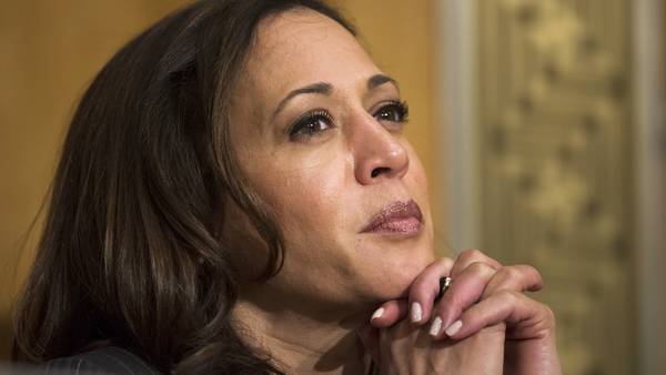 Vice President Kamala Harris leads list of contenders for spots on the Democratic ticket