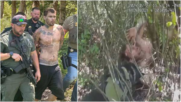 Escaped inmate found by K-9 while hiding in woods in Flagler County, sheriff says