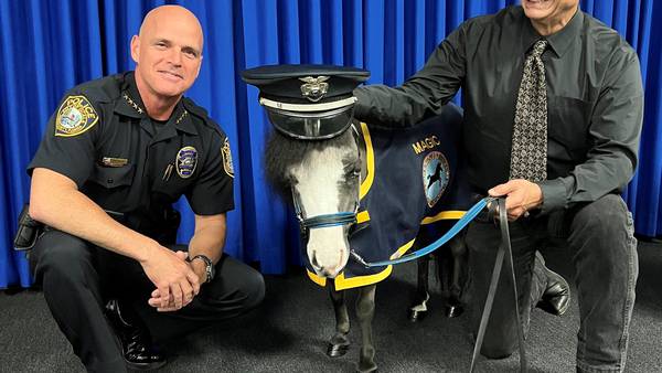 Giddy-up: Ocala adds mini-horse named Magic to its police force