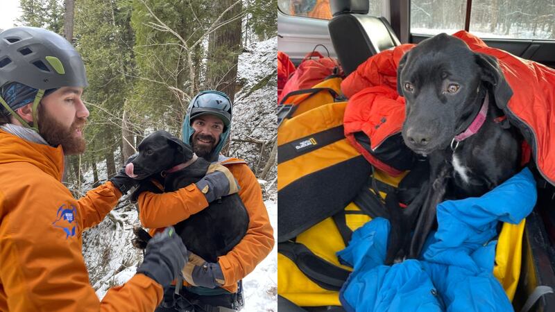 A dog was rescued Wednesday evening after it fell off a cliff by Miners Castle in Michigan. It was found alive in Pictured Rocks National Lakeshore.