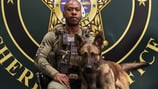 Flagler County Sheriff’s Office introduces its newest K-9 officer to the public