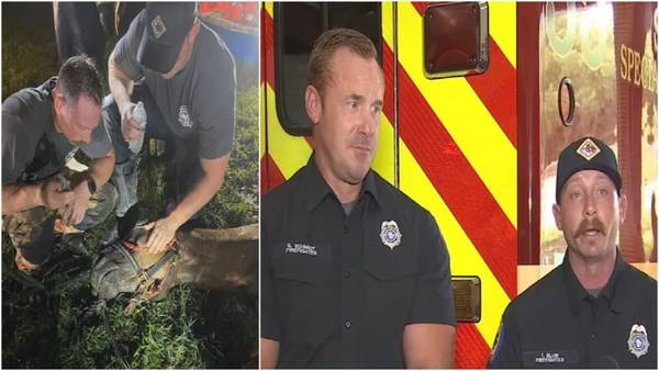 ‘She was exhausted’: Seminole County firefighters share details after horse rescued from muddy pond