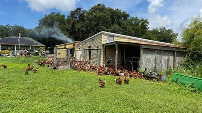 Video: Orange County firefighters battle fire at 1,000-square-foot chicken coop