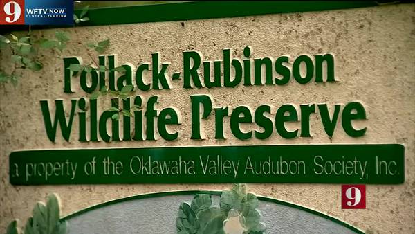 Local Audubon Society chapter accused of trying to develop wildlife preserve
