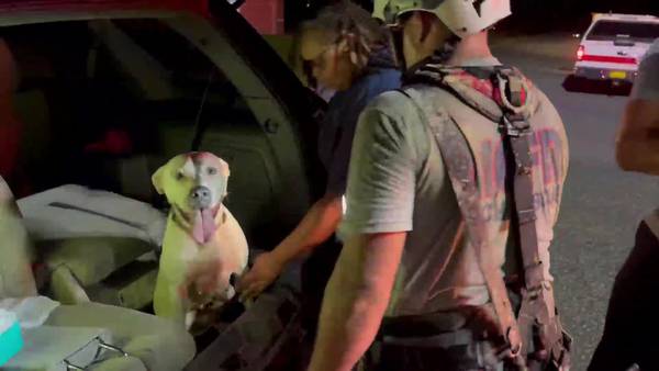 Firefighters rescue dog from 14-foot hole in Marion County