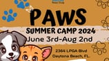 Central Florida animal shelter offers summer camp for kids to learn about animal care