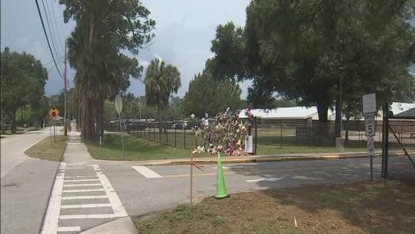 Sugar Mill Elementary parents call for safety improvements after student hit, killed in crosswalk