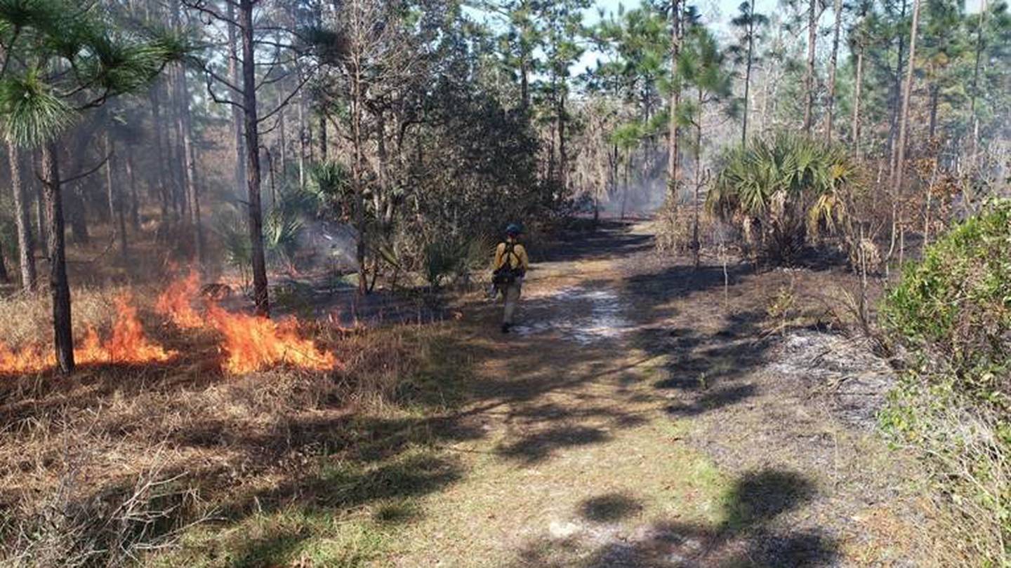 See Smoke Prescribed Fires Across Parts Of Central Florida Today Wftv 