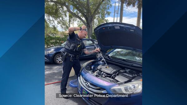 Raccoon rescue: Florida officers help get injured animal out of car engine