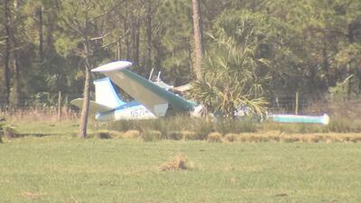 SEE: Pilot hospitalized after crashing small plane into large pine tree in Mims pasture