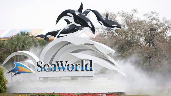 SeaWorld and Aquatica offering year-round admission for some Florida kids