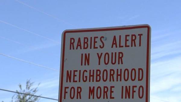 Rabies alert issued for parts of Brevard County, Dept. of Health says