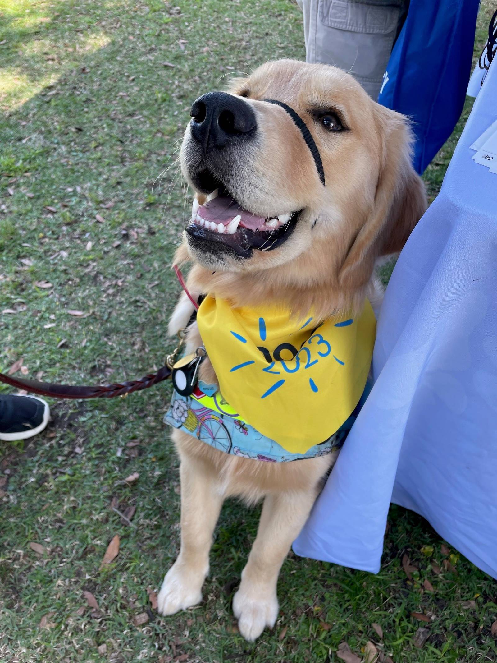 DogFest Orlando supports local service dogs, raises money for mission