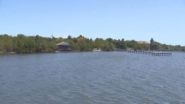 Organization hopes 1B clams will help purify the Indian River Lagoon’s waters