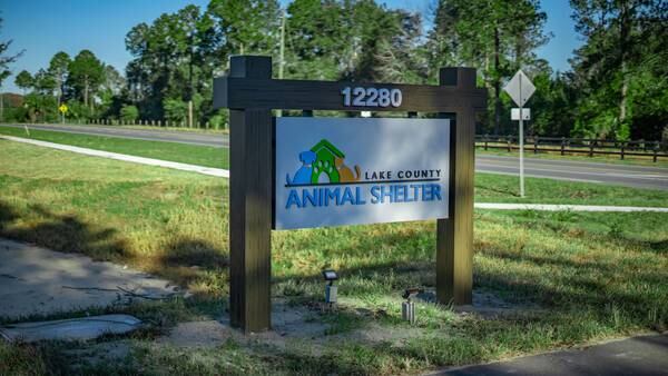 Lake County Animal Shelter pauses dog admissions due to ‘kennel cough’ outbreak
