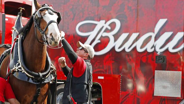 Super Bowl: Budweiser teases Clydesdales for Super Sunday ad