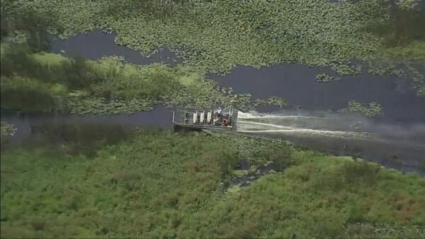 Photos: Wild Florida resumes airboat rides after a crash last month injured 16