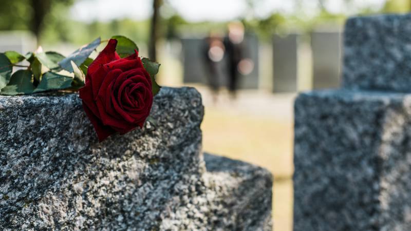 shadows on red aromatic rose on concrete tomb