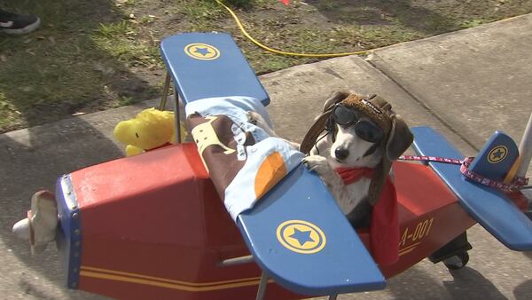 Photos: ‘Paws in the Park’ celebrates 30th year at Lake Eola in Orlando