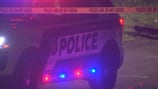 Video: Man shot in head in Pine Hills dies, police say