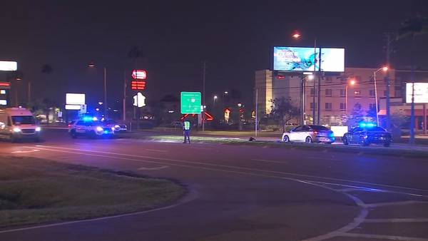VIDEO: Man killed while trying to cross busy Osceola County roadway