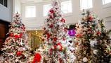 OMA’s ‘Festival of Trees’ returns Nov. 16