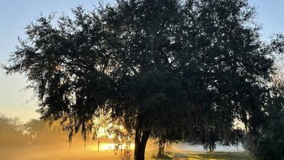 Video: 'Beautiful outdoor day': Temperatures continue to climb in Central Florida