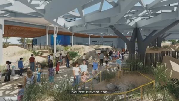 Brevard Zoo Updates Aquarium and Conservation Center Project
