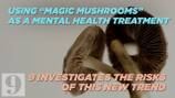 Using ‘magic mushrooms’ as a mental health treatment; 9 Investigates the risks of this new trend