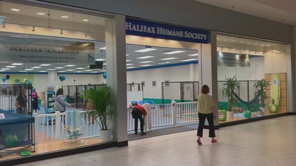 Halifax Humane Society gets positive results from new Adoption Center in Volusia Mall