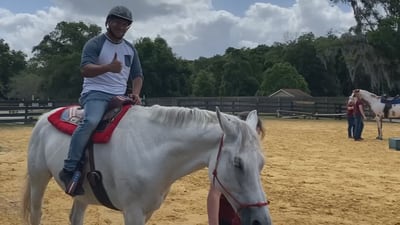 Sanford non-profit organization using horses to help treat veterans with PTSD