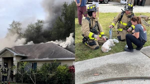 Crews rescue 2 dogs in Palm Bay house fire