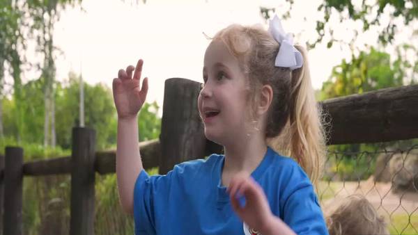 Make-A-Wish and Disney World helps 5-year-old’s ‘Animal Kingdom’ dreams come true