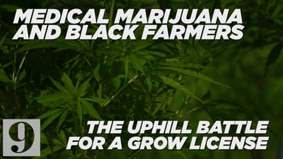 Medical marijuana & Black farmers: The uphill battle for a grow license