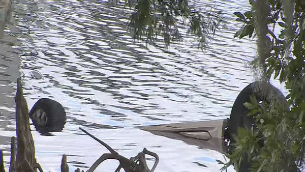 Photos: Car crashes into lake in Downtown Orlando