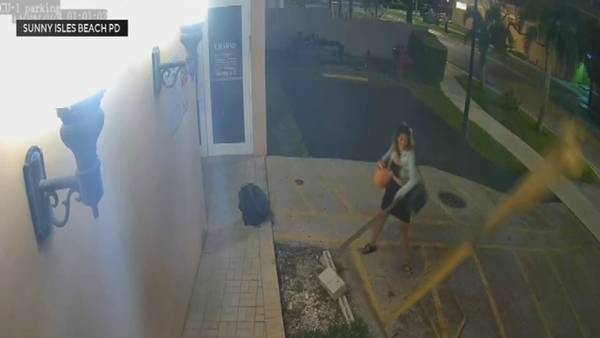 Florida police search for woman who toppled menorah outside of synagogue