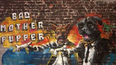 PHOTOS: ‘Full liquor dog park & sports bar’ set to open in Orlando