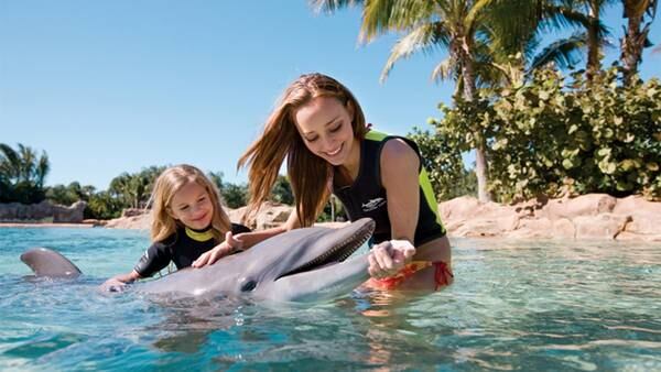 Discovery Cove offers holiday sale on all-inclusive visits