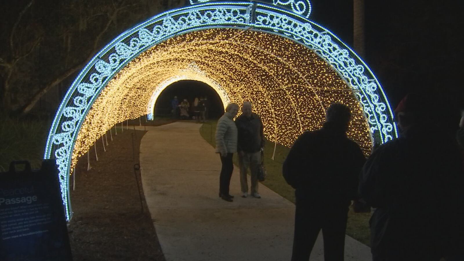 PHOTOS “Dazzling Nights” returns to Leu Gardens for a 2nd year WFTV