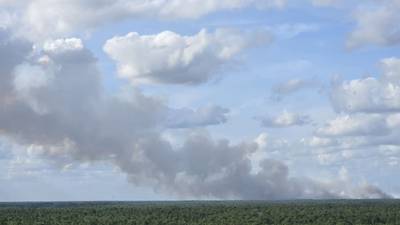SEE: Brush fires burn in Central Florida over the weekend 