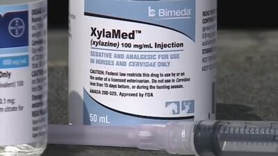 Lawmakers call on DEA to ramp up fight against surge in use of ‘zombie drug’ xylazine
