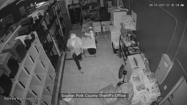 Deputies search for thief who broke into Polk County Puppy Boutique