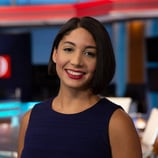 Chantelle Navarro, WFTV.com