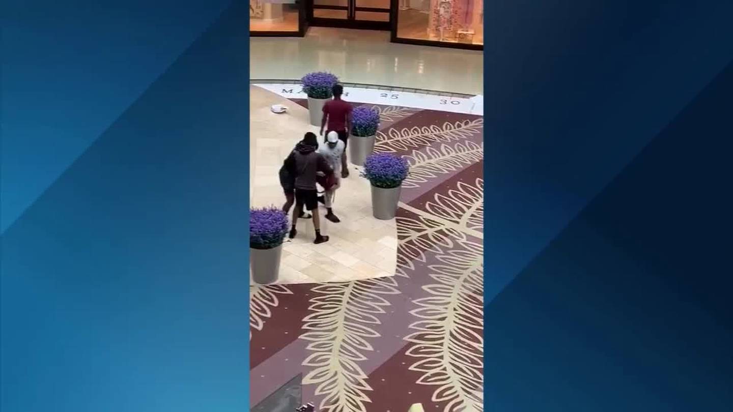 Watch Video Shows Man Pulling Gun Inside Mall At Millenia Wftv 7763