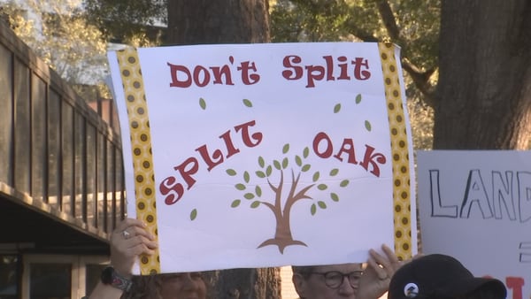 ‘Don’t split, Split Oak’: Orange County to stay the course, continue protecting Split Oak Forest